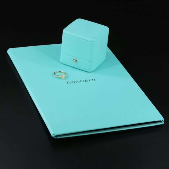 Tiffany & Co. Novo 18K 1.21 CTW IF Fancy Yellow Diamond Engagement Ring - Picture 11 of 12